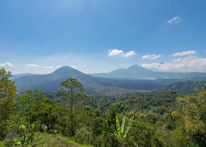 Tegal Sari ホテル 3*