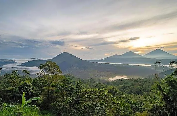 ホテル Tegal Sari Kintamani